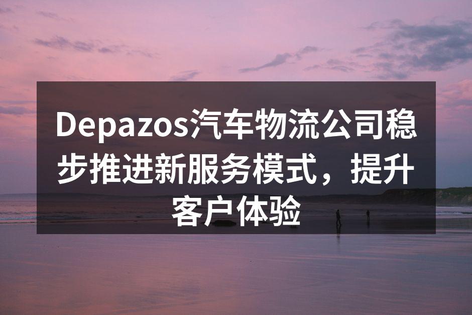 Depazos新服务模式推出现场