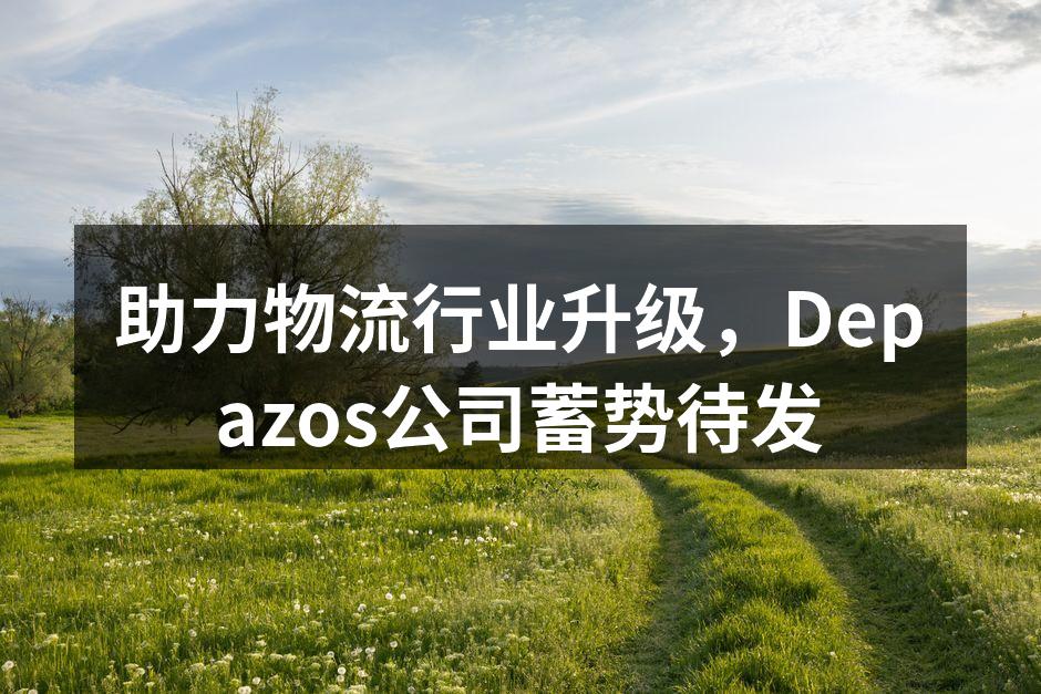 Depazos公司新推出的运输管理系统界面