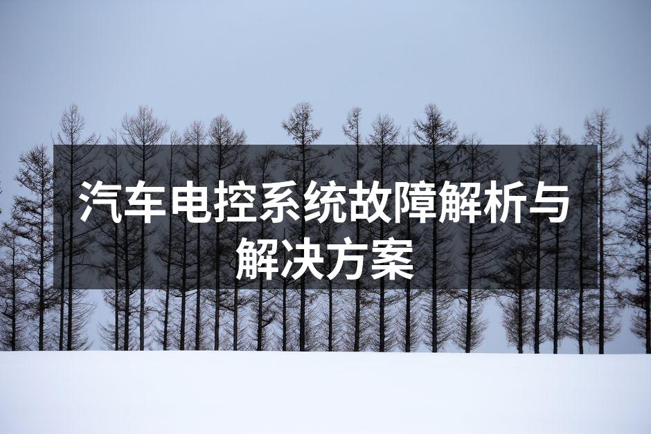 汽车电控系统结构示意图